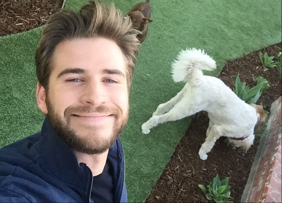 ¡Feliz cumple, Liam Hemsworth!