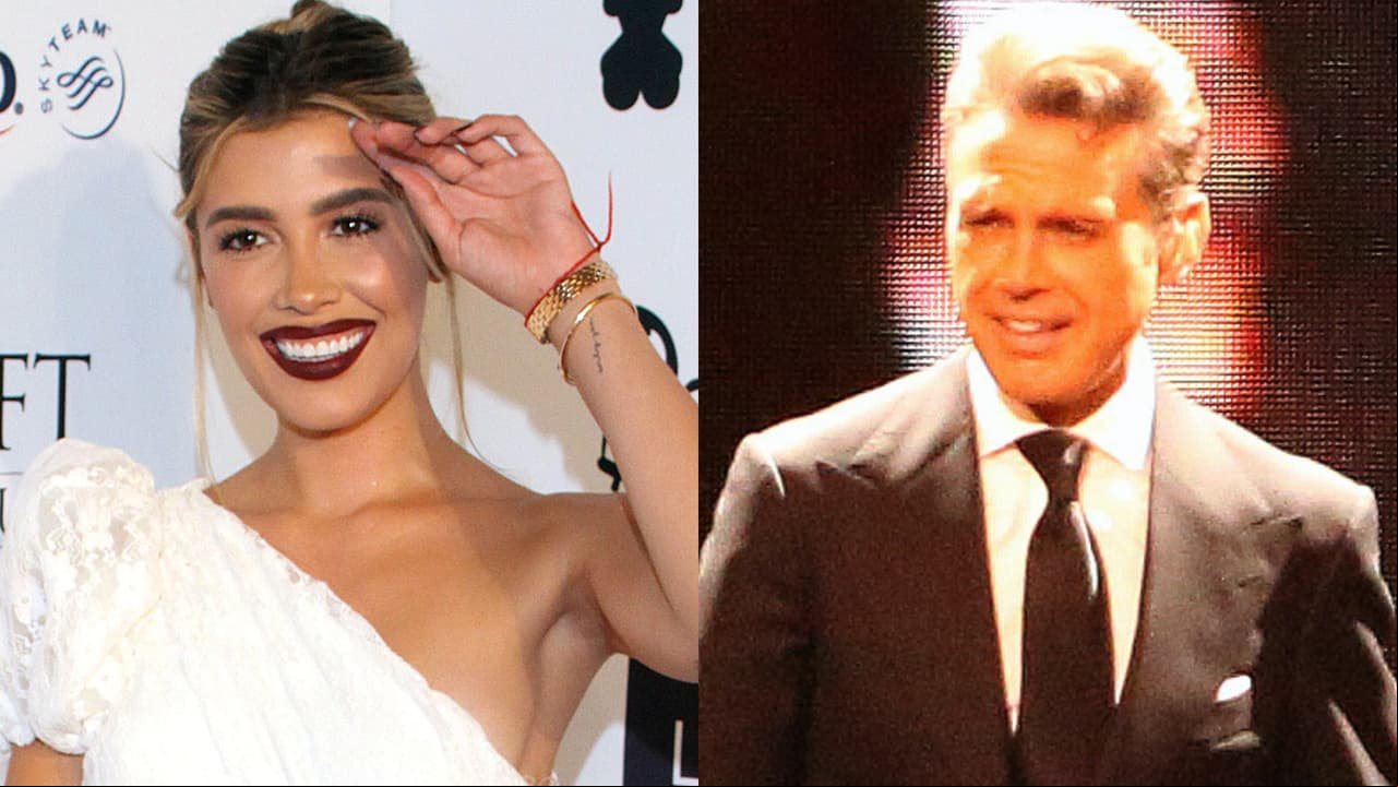 ¿Cómo se veía 'Luismi' dentro de la boda de Michelle Salas? Por fin revelan primeras fotos