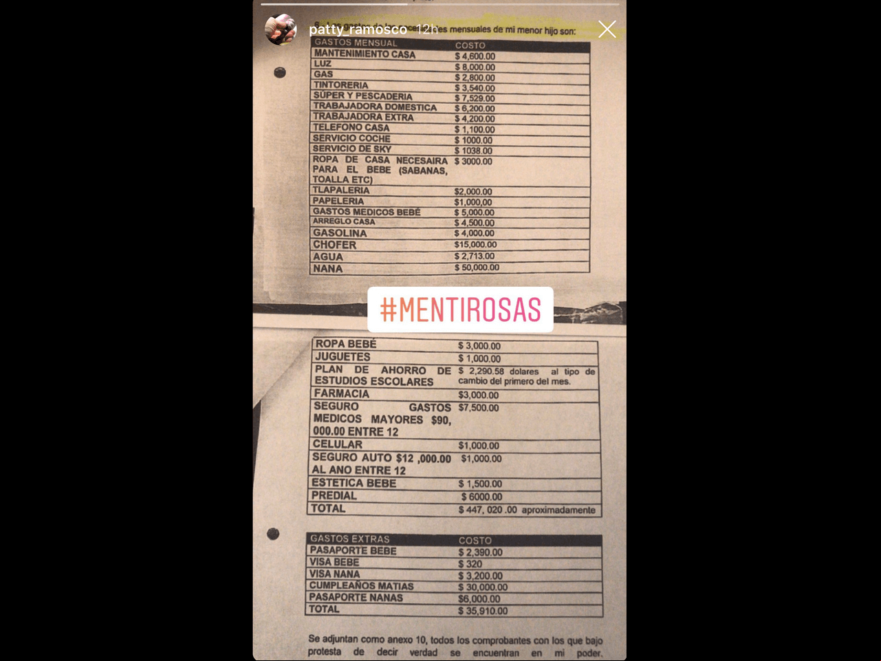 Esta es la lista de gastos mensuales que supuestamente exige Marjorie de Souza para su hijo Matías.