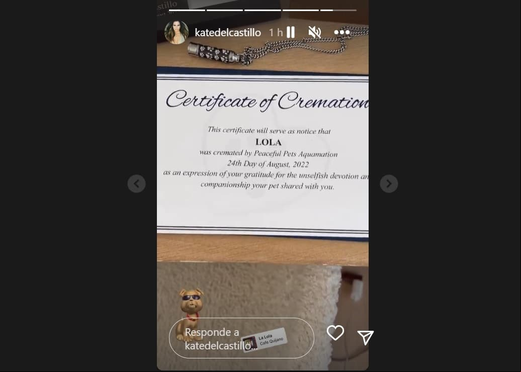 Certificado de Lola