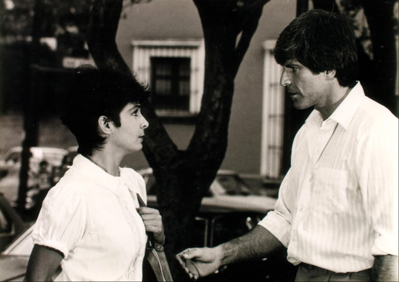 Por una decepción amorosa, 'Gabriela' decidirá cambiar su identidad por la de 'Gabriel'. En esta telenovela, Martín compartió créditos con Jorge Rivero, Jorge Martínez de Hoyos y Liliana Abud, entre otros.