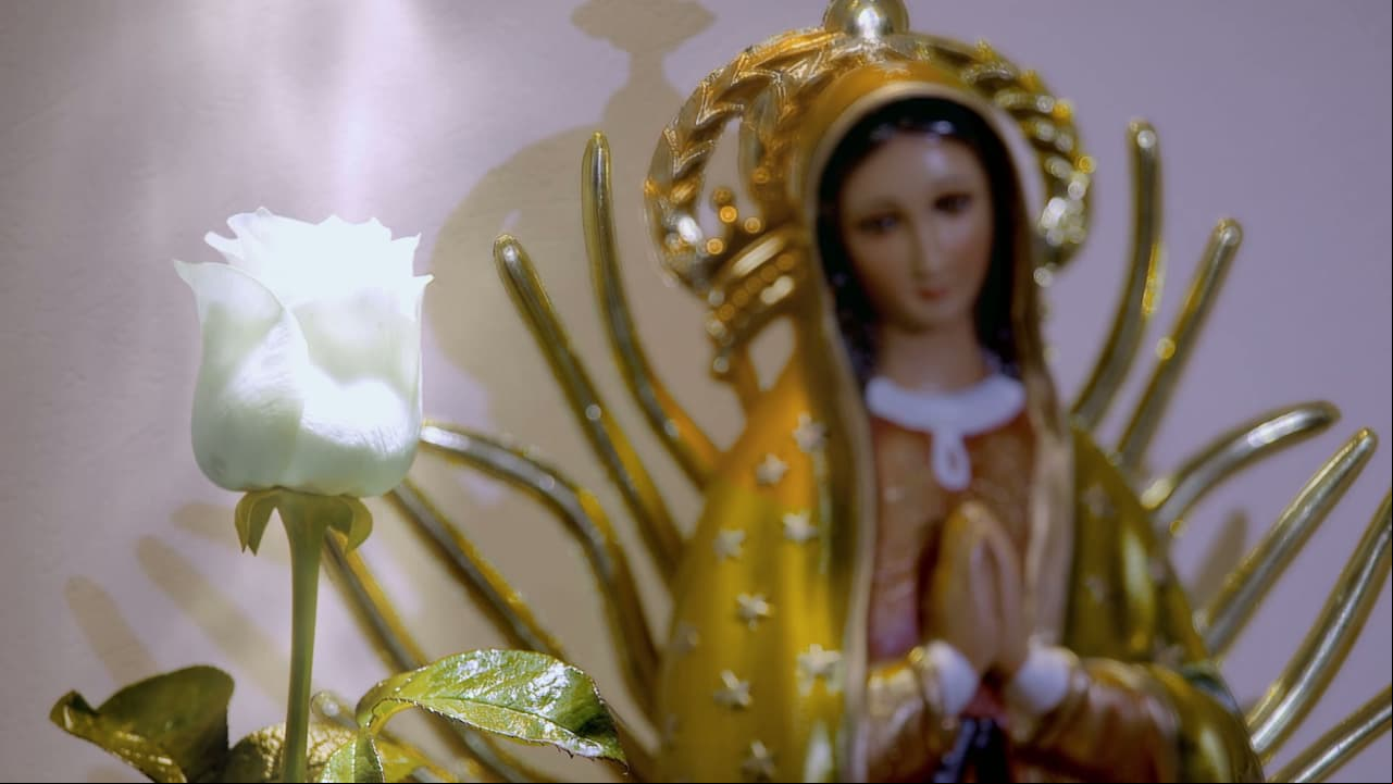 ¡Lo que no sabías de La Rosa de Guadalupe, previo al capítulo 1000!