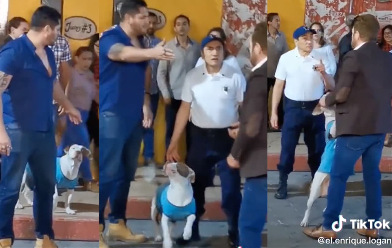 Perrito interrumpe escena de pelea en telenovela