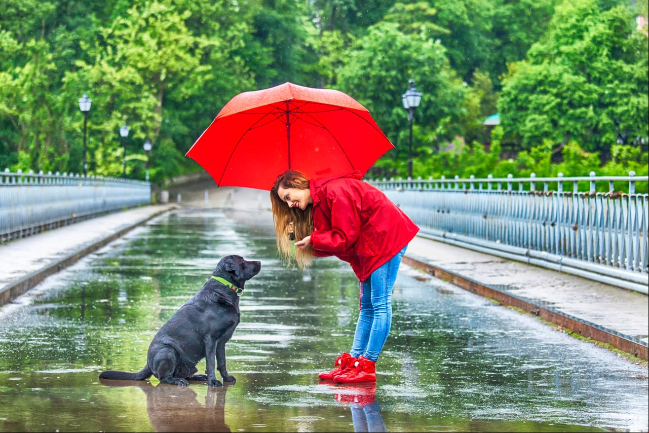 Juega con tu mascota, pero evita sacarla a pasear en horarios fríos o de mucha lluvia.
