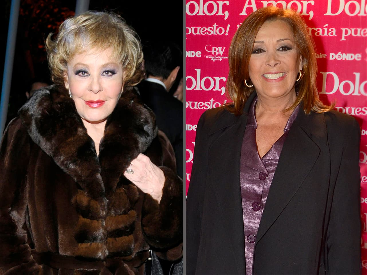 Fernando Frade: el hombre por el que se enfrentaron Silvia Pinal y Sylvia Pasquel