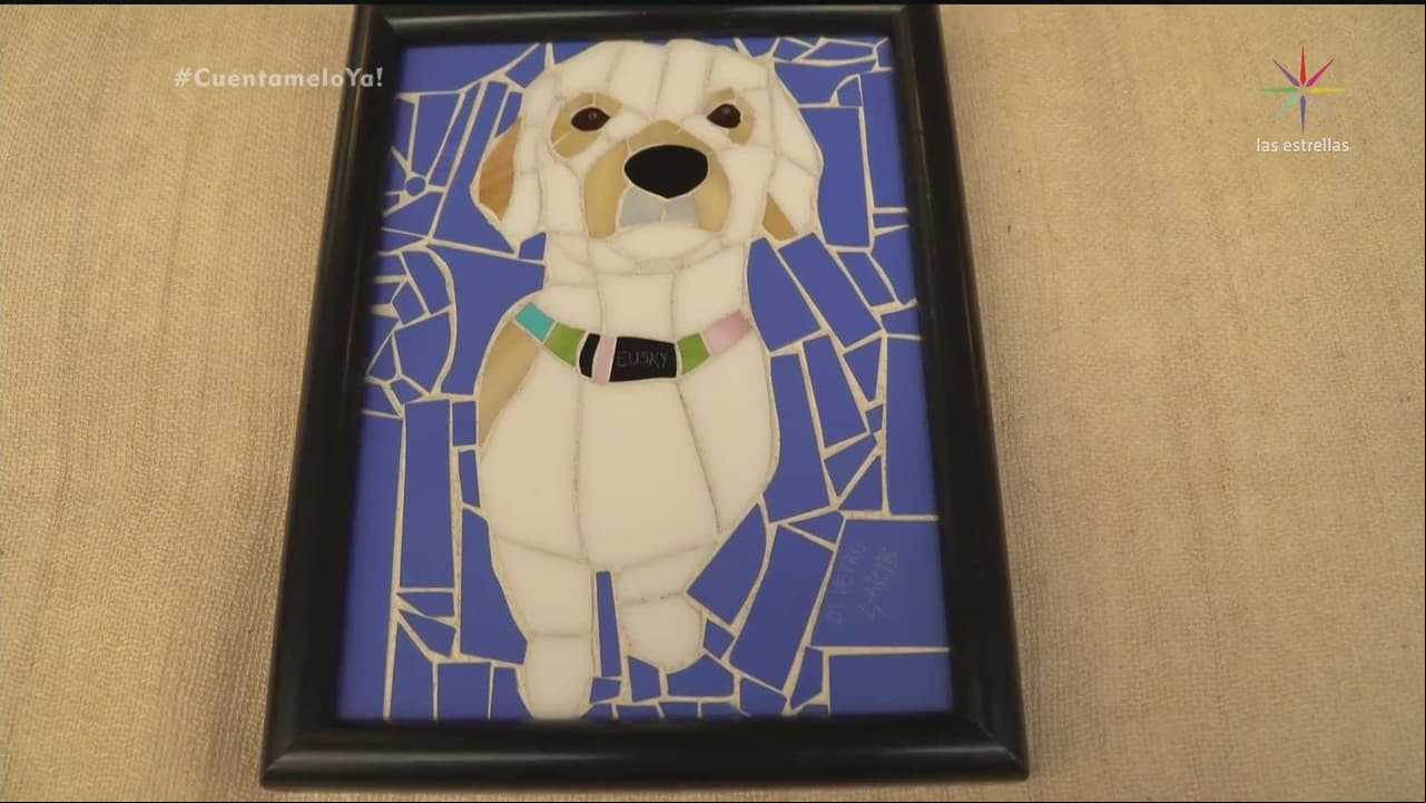 REPORTAJE: Bazar de mascotas