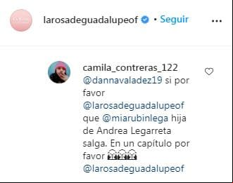 Comentario a La Rosa de Guadalupe