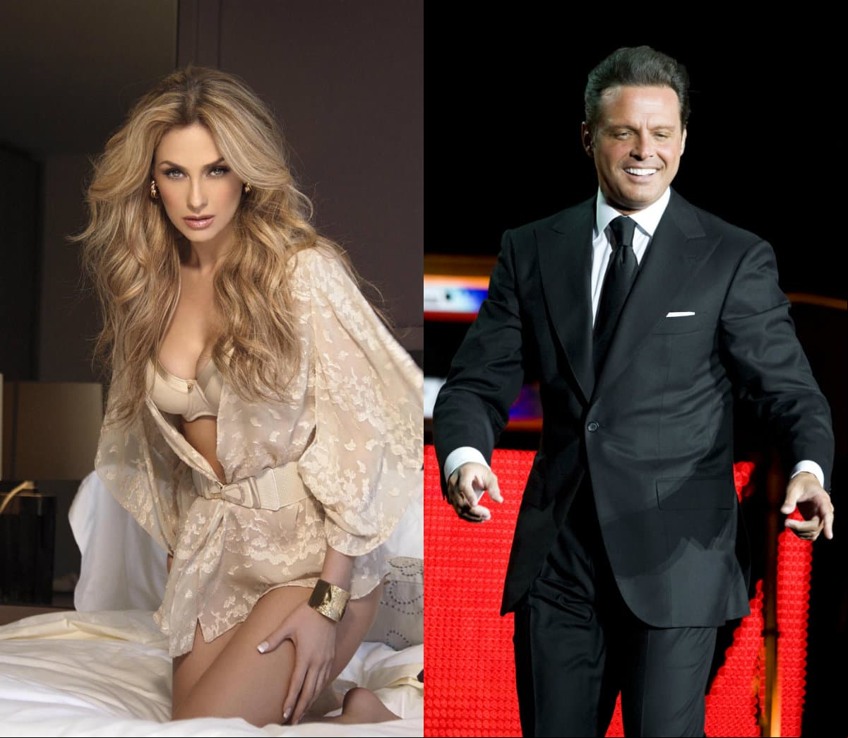 Aunque el cantante tenía que pasarle una pensión de 50 mil dólares para sus hijos, desde 2011 Aracely detalló que él no se hacía cargo de los niños y que en muy pocas veces ha convivido con ellos; incluso en 2013 interpuso una demanda ante la Corte Superior de Los Ángeles por manutención.