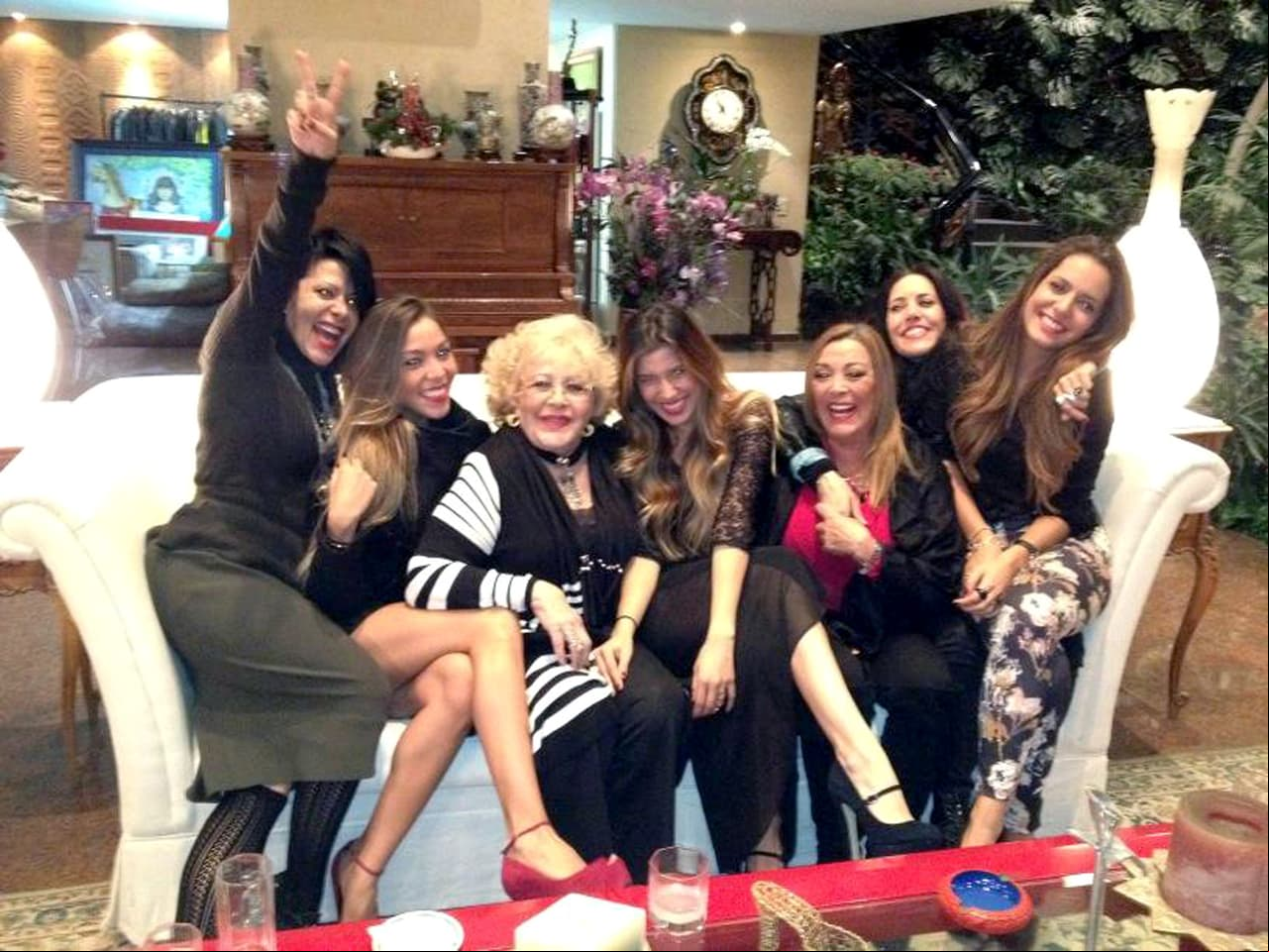 Lo cierto es que, más allá de lo que se dice en la prensa, cada miembro de la familia que formó Silvia Pinal se ha ganado un nombre en el medio del espectáculo gracias a sus proyector profesionales; Sylvia Pasquel como una gran villana en televisión; Alejandra Guzmán por sus más de tres décadas de trayectoria en la música; Stephanie Salas como actriz y cantante; Frida Sofía en el mundo fitness y Michelle Salas como blogger de moda.