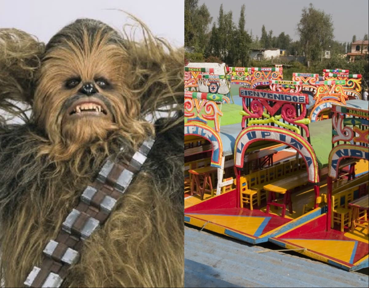 Chewbacca estuvo de paseo por los canales de Xochimilco