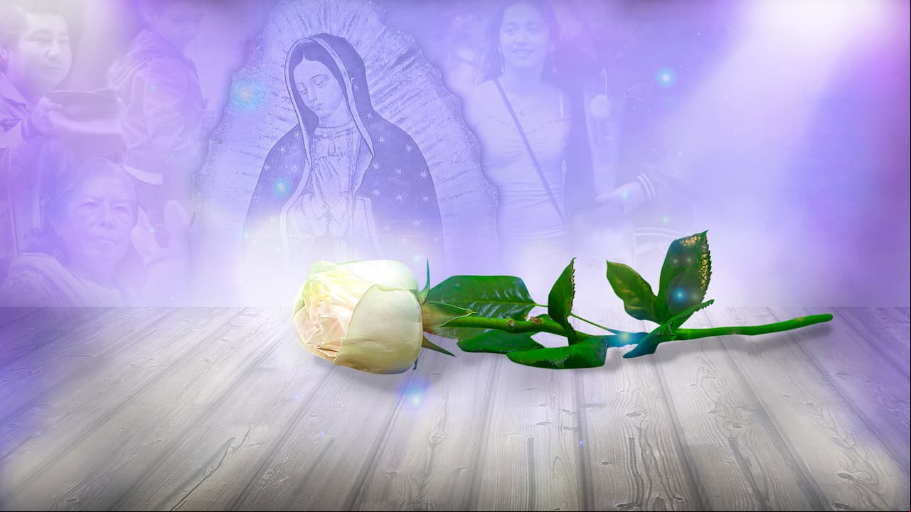 Entérate dónde puedes ver este capítulo de estreno de ‘La Rosa de Guadalupe’ antes que en otra parte