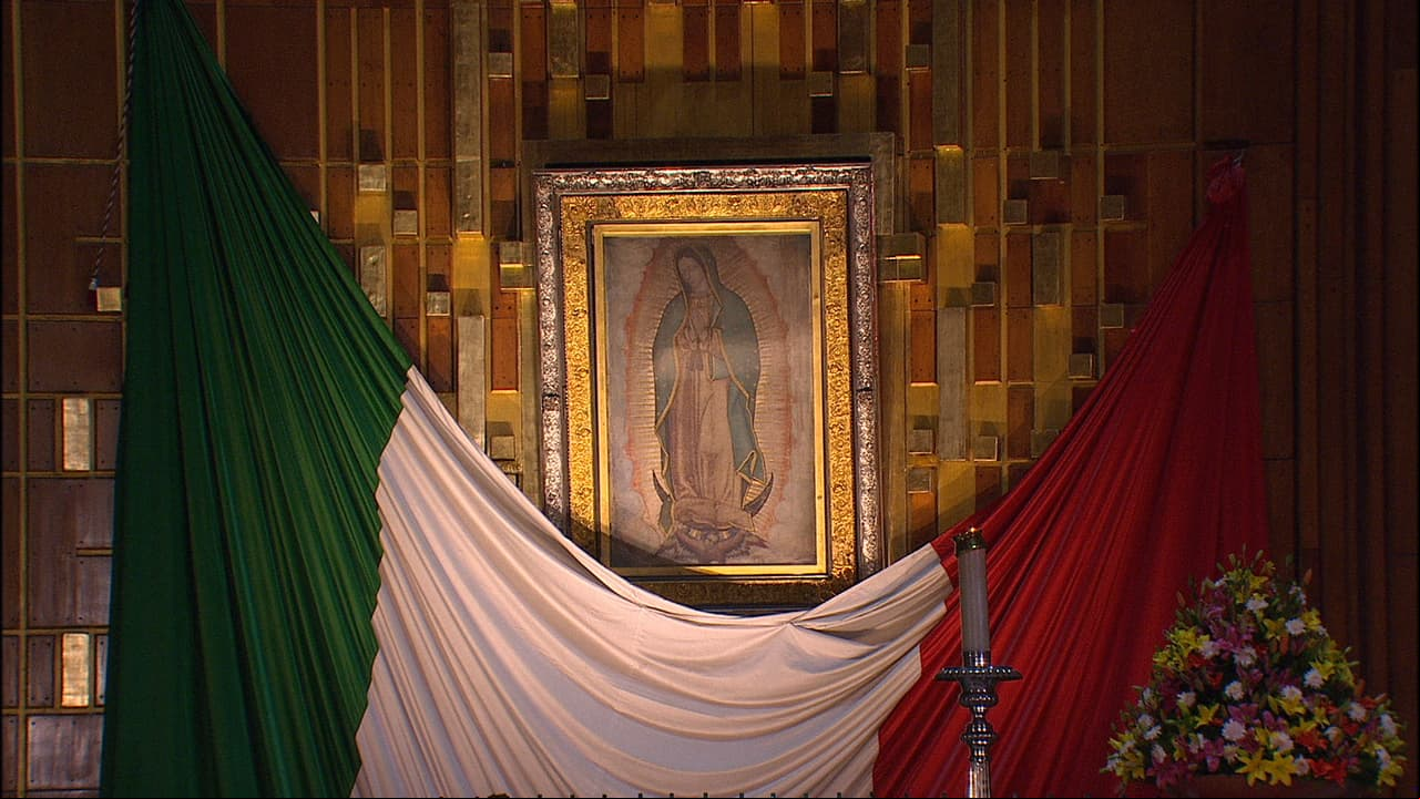 Con fe y devoción, famosos como Lucero, Carlos Rivera, Daniela Romo y Sherlyn, entre otros, demostraron su cariño a Santa Maria de Guadalupe en su tradicional cumpleaños. Minutos antes de entonar las esperadas mañanitas, y bajo la conducción de la periodista Julieta Lujambio, uno a uno de las celebridades hicieron su aparición en la Basílica de Guadalupe para expresar su infinito agradecimiento.