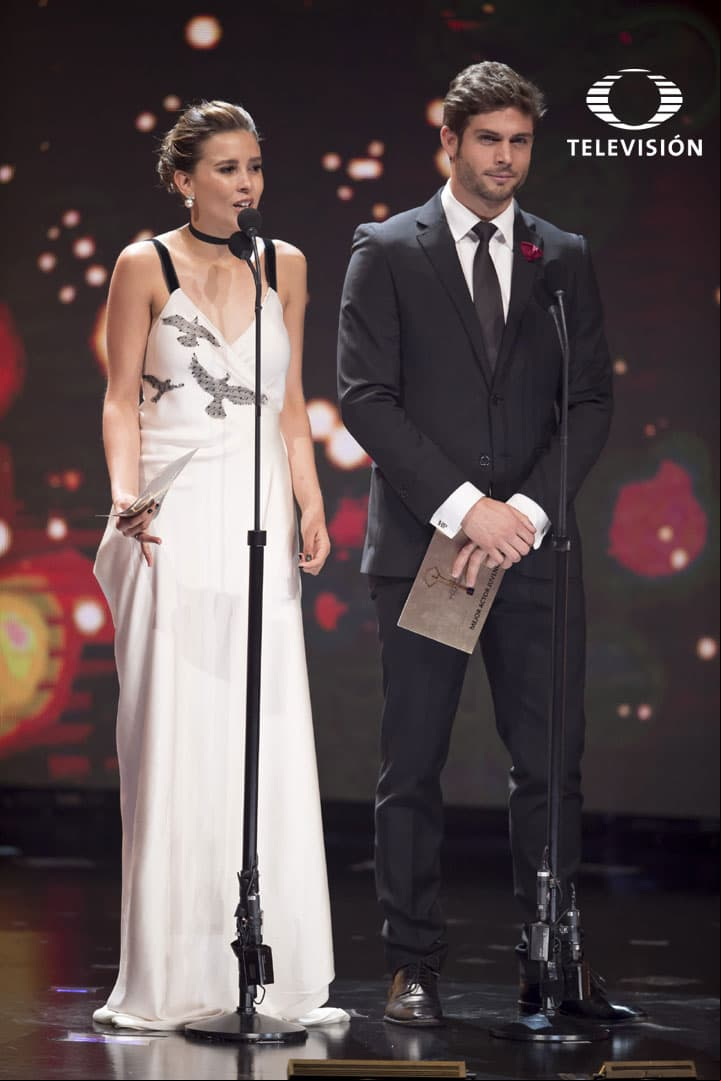 Una de las parejas más queridas del espectáculo, Paulina Goto y Horacio Pancheri.