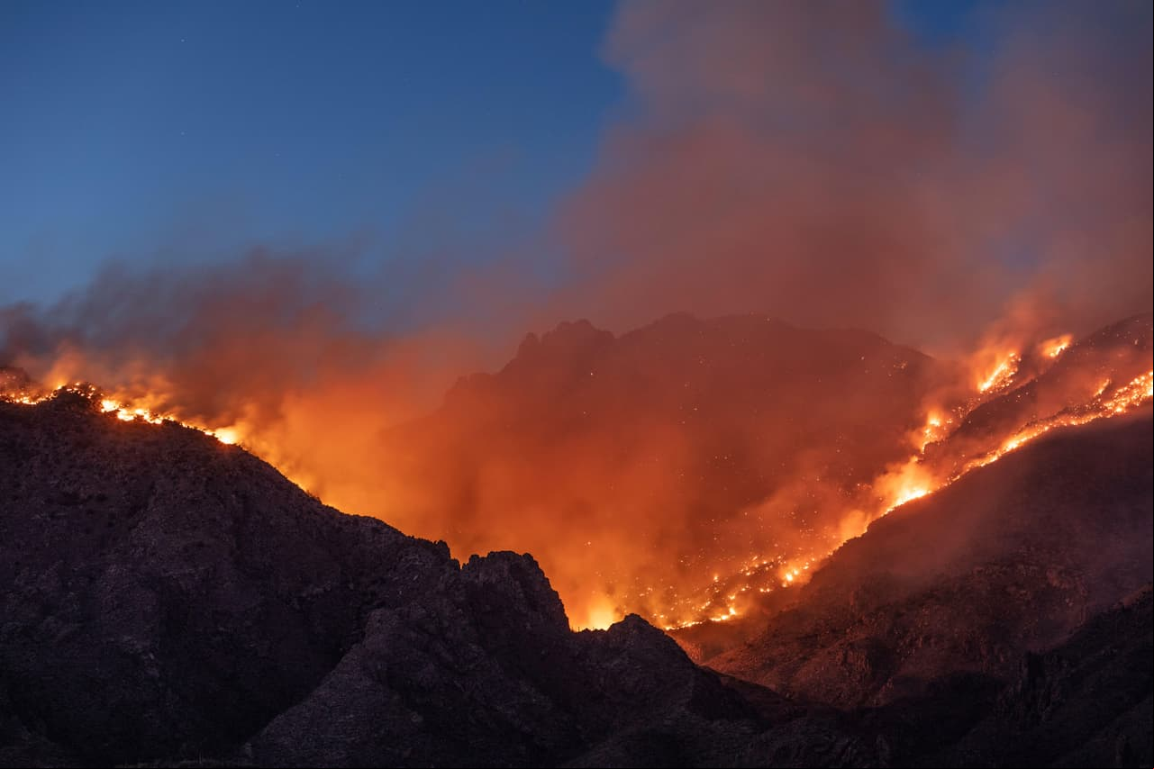 Incendio forestal