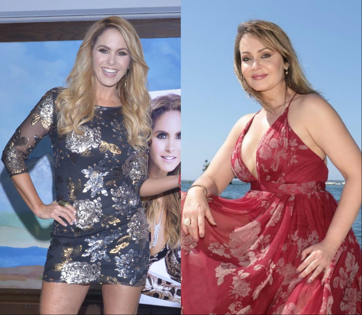 Así le responde Lucero a Gaby Spanic luego de que la llamó ‘envidiosa’