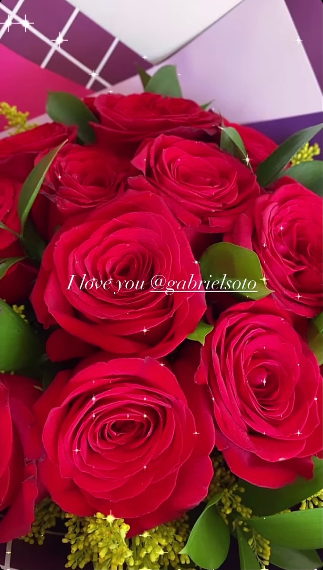 Gabriel Soto sorprende a Irina Baeva con un ramo de rosas rojas.