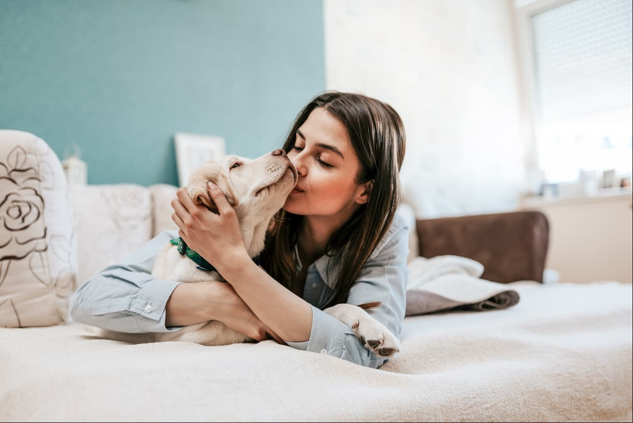 Los perros también rechazan a las personas tóxicas