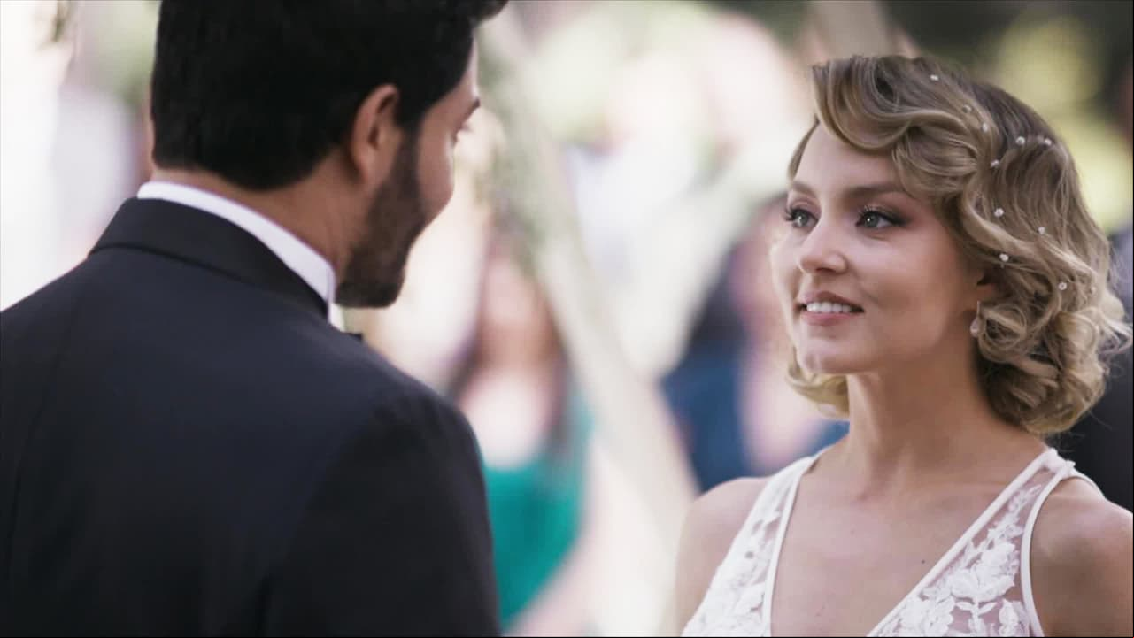 Una a una, las 11 bodas de Angelique Boyer en las telenovelas (4 son con Rulli)