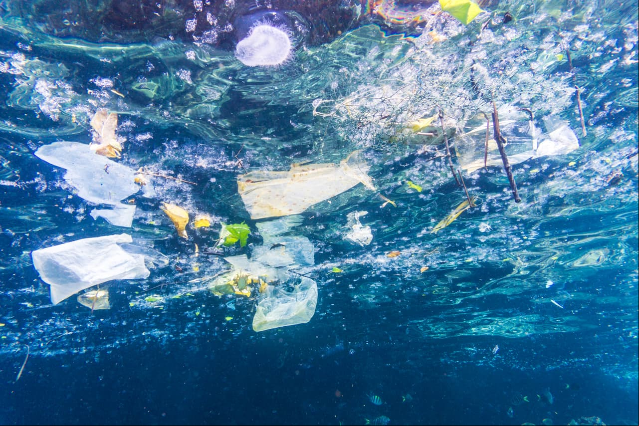 Cada año, millones de toneladas de plástico terminan en los mares