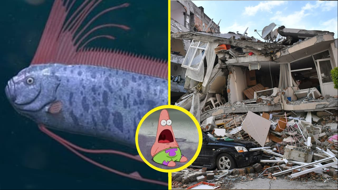 Pez remo es captado en playa mexicana antes de temblor y desata teorías: ¿predice terremotos?
