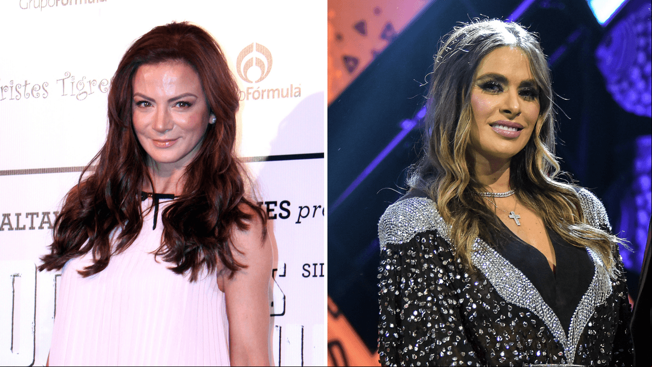 En 2014, 'Mi Corazón es Tuyo' fue una exitosa telenovela protagonizada por Jorge Salinas y Silvia Navarro, sin embargo, de acuerdo con información de Univisión, el productor Juan Osorio, a cargo de este proyecto, pensó el papel protagónico femenino para Galilea Montijo.