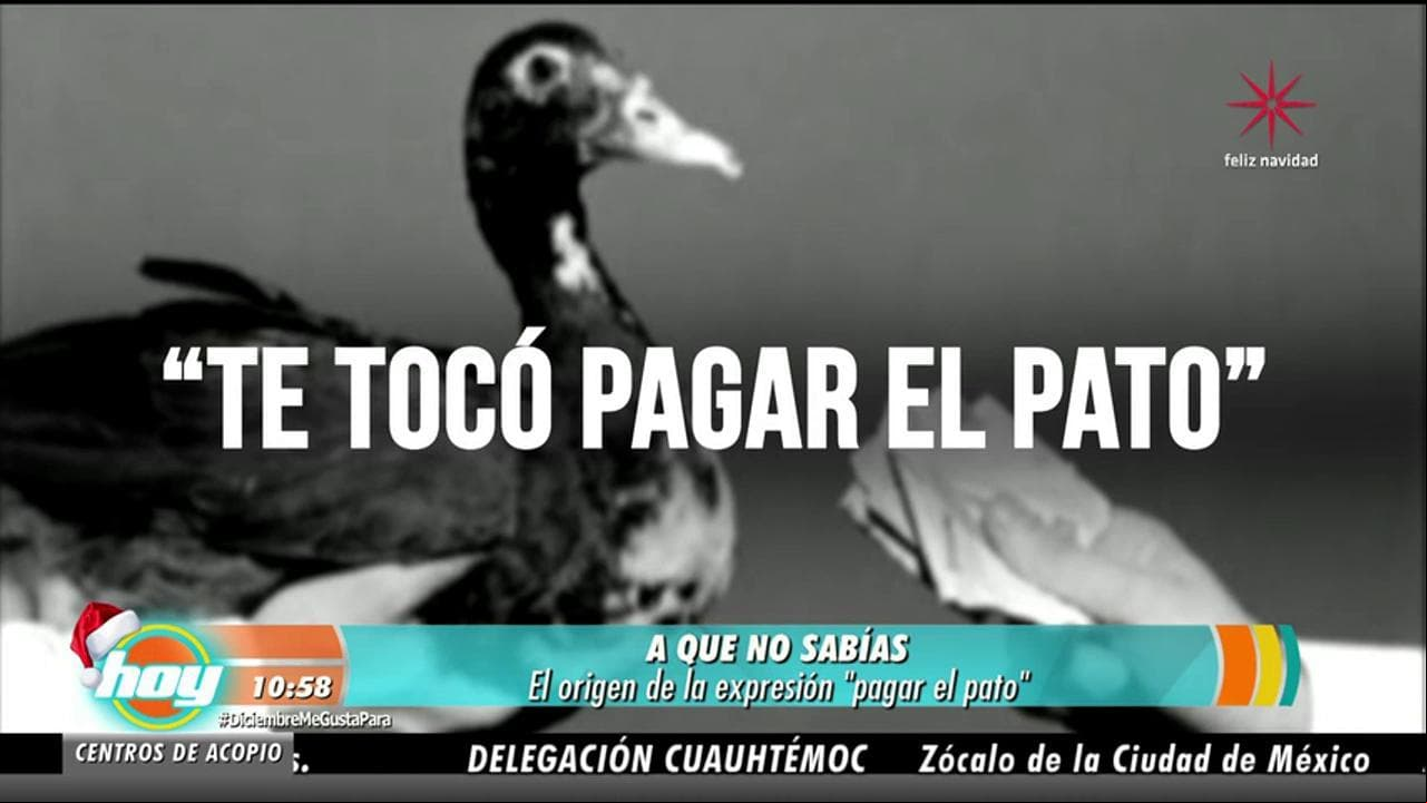 Checa el origen de "Pagar el Pato"