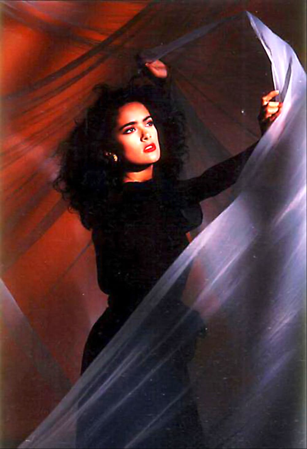 SALMA HAYEKAntes de convertirse en una de las mexicanas nominadas al Oscar, Salma inició su carrera en dos grandes telenovelas: “Nuevo Amanecer” y Teresa”, conquistando a la audiencia a finales de los 80. En 1994 regresó solo una vez más a los melodramas con la producción de época “El vuelo del águila”.