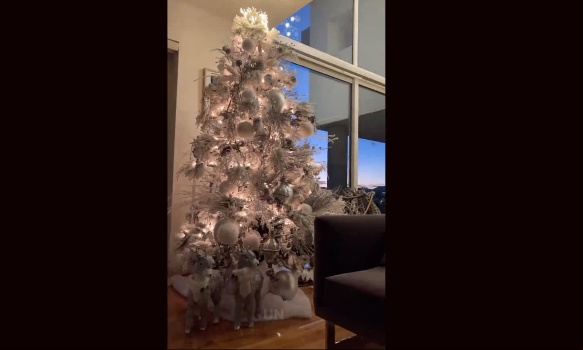 Ximena Navarrete impactó al mostrar su elegante árbol de Navidad