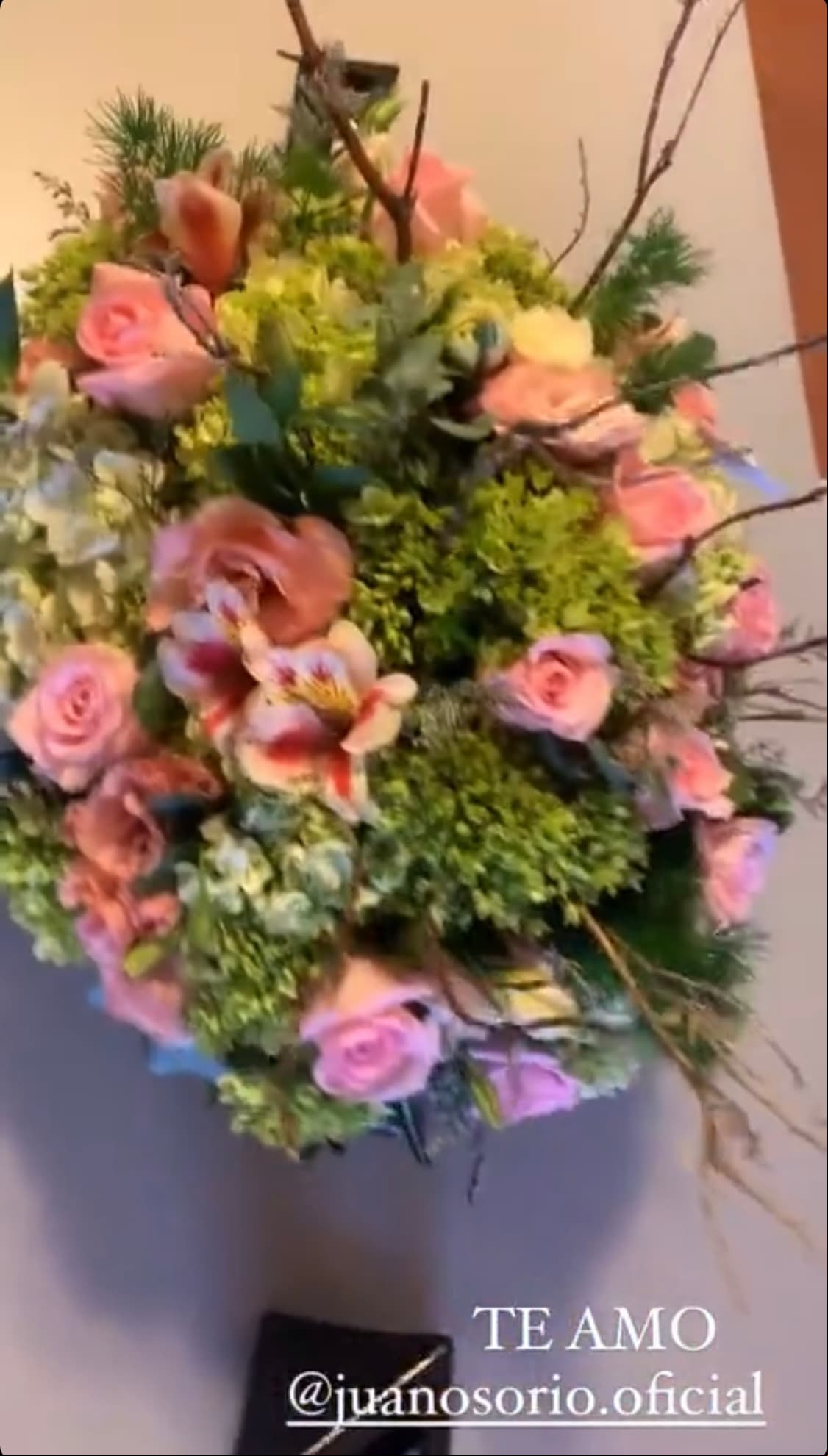 Este fue el tierno obsequio que Juan Osorio le envió a Eva Daniela.