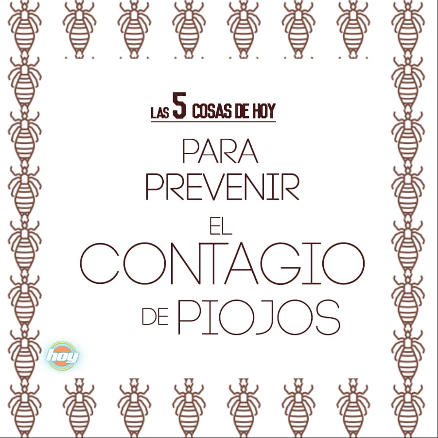 Checa cómo prevenir los piojos