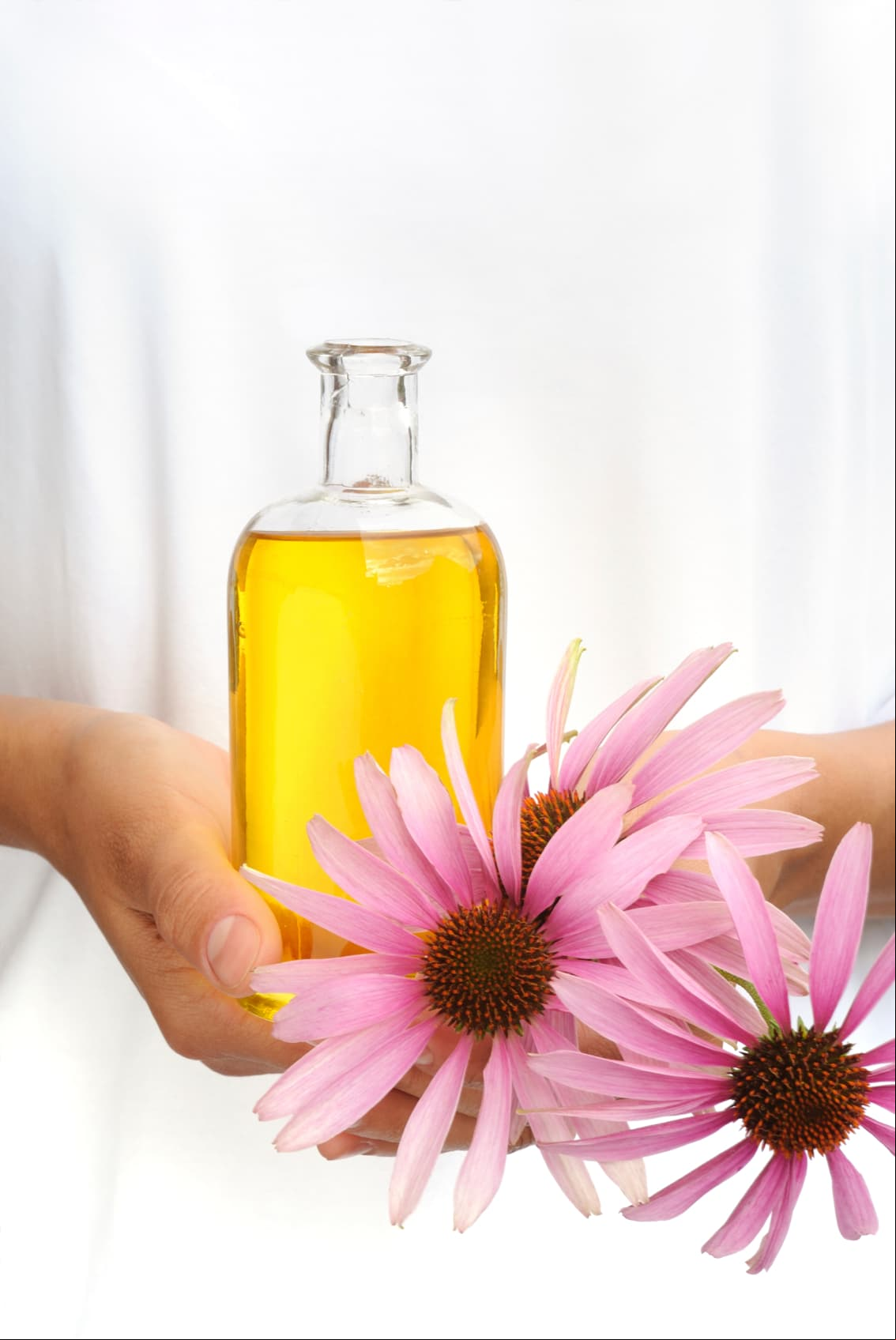 Usos y beneficios del aceite de árbol de té para tu salud