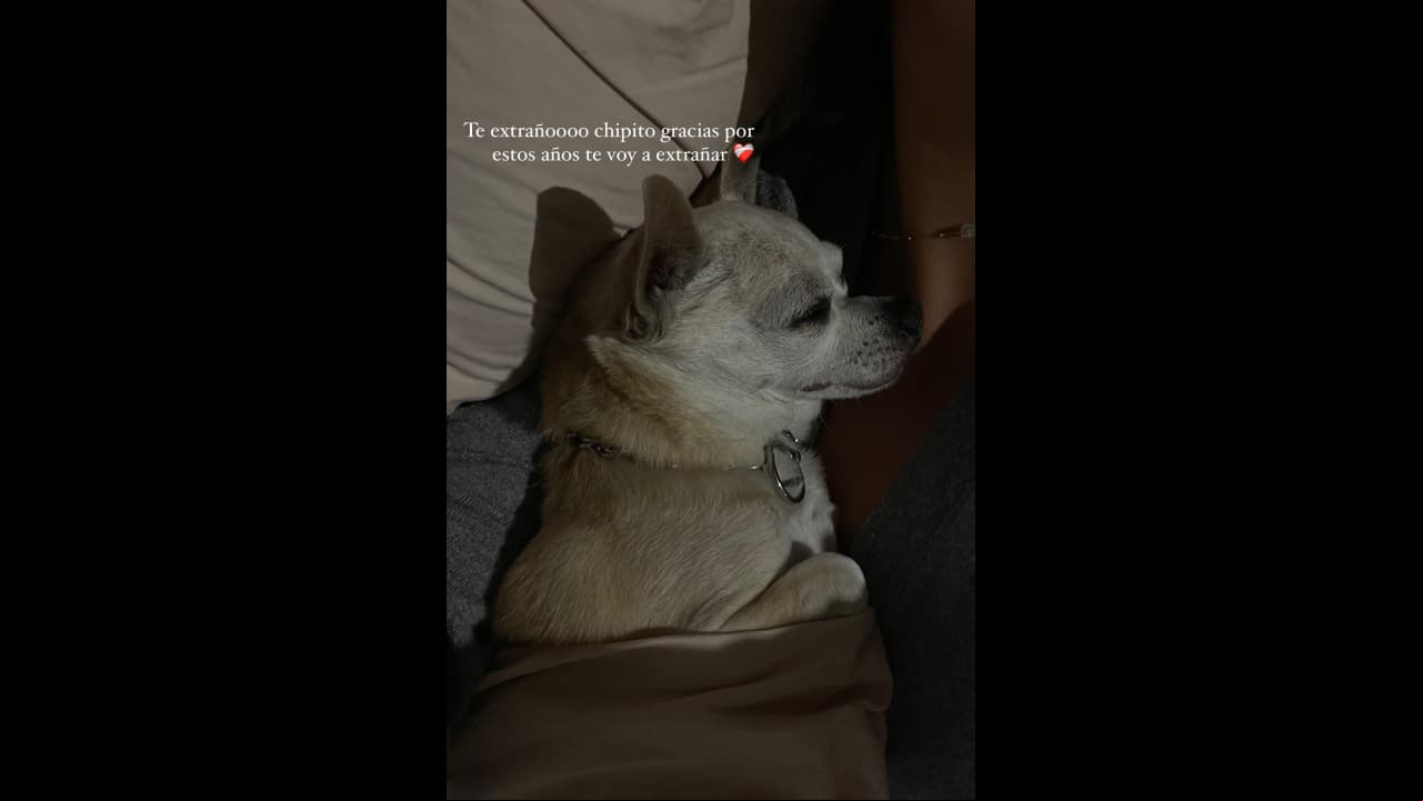 Julia, hija menor de Mayrín Villanueva y Eduardo Santamarina, está de luto y así se despide