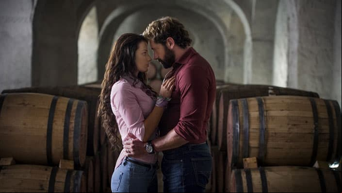 Irina Baeva, Gabriel Soto, Vino el amor