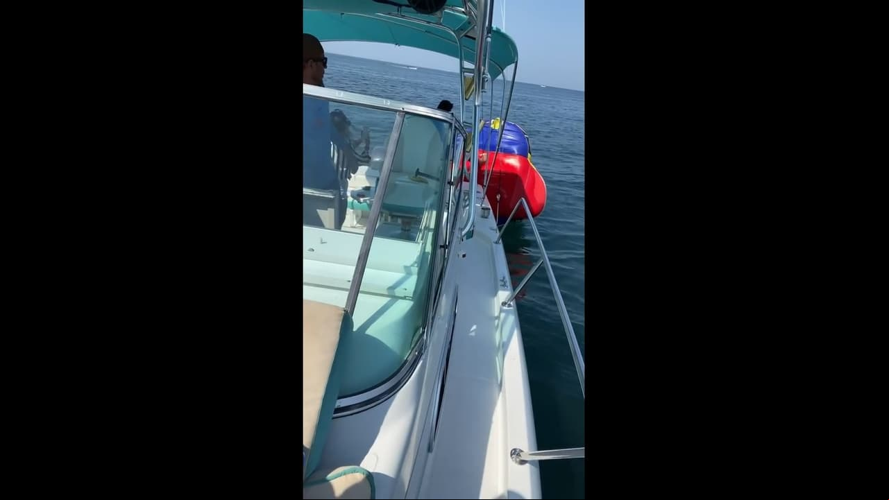 “Va a subirse Nicolás a una de estas donas padrísimas, estamos en un yate… Ya están a punto, miren. Querían que me subiera, nombre hubiera pegado el grito, se voltearon”, comentó.