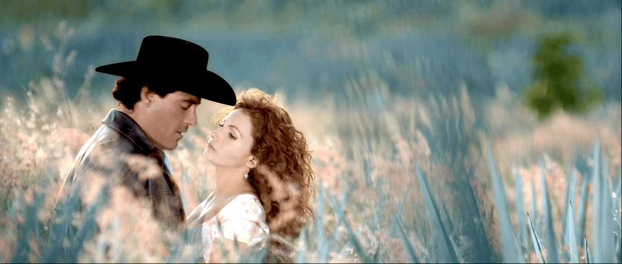 Nicandro Díaz ve éxito de ‘Destilando amor’ como muestra de que el melodrama está más vivo que nunca