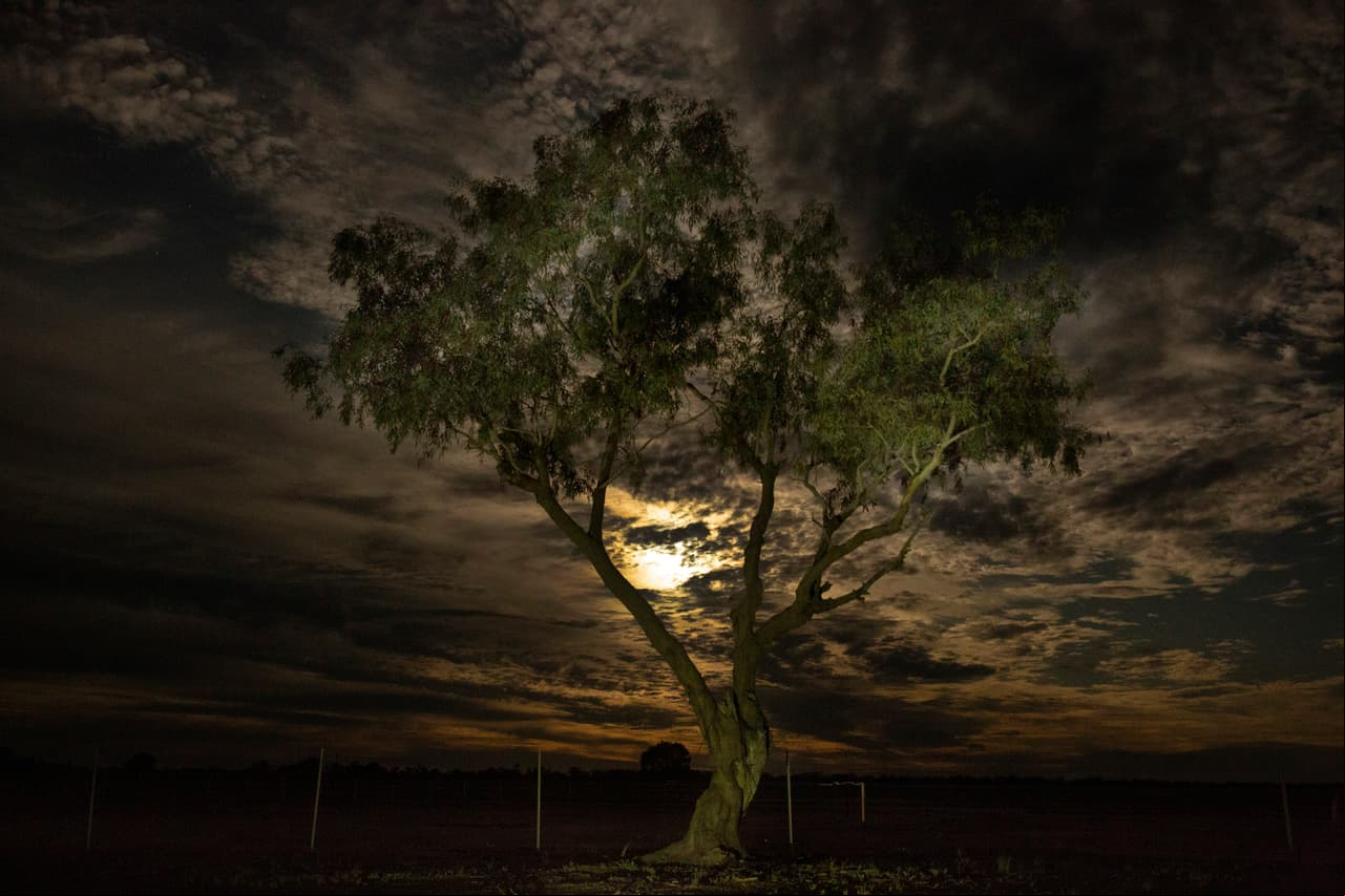 Una 'Súper luna' llena, parcialmente oscurecida por las nubes, se ve en aumento en Australia el 08 de abril de 2020 en Louth, Australia.