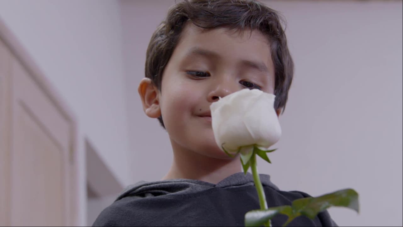 Así se graba el famoso "aire" de La Rosa de Guadalupe