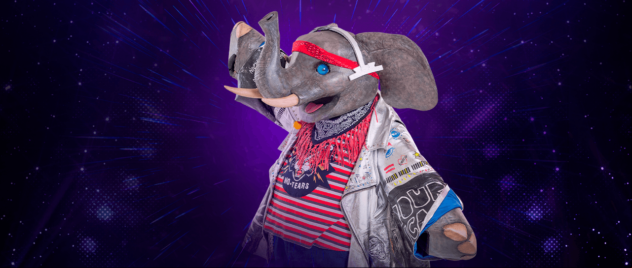 Elefante es un rockero hiperactivo y muy bebé. Su universo es un garage indie donde pueda hacer travesuras.