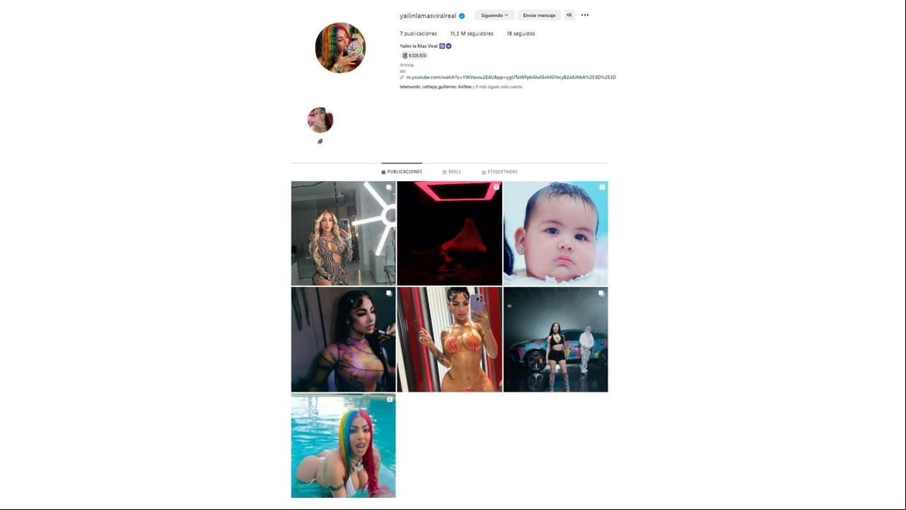 Así luce ahora el perfil de Instagram de Yailin.