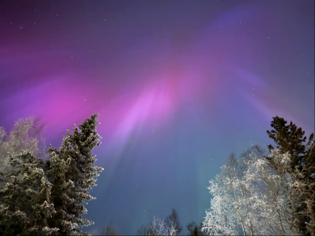  Cuándo y dónde serán visibles auroras boreales en Estados Unidos esta semana