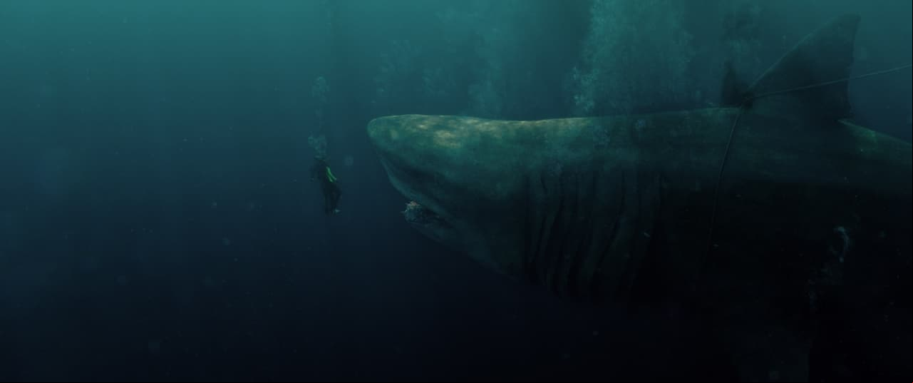 Acuario Interactivo de Plaza Carso presenta exhibición de ‘Megalodón’
