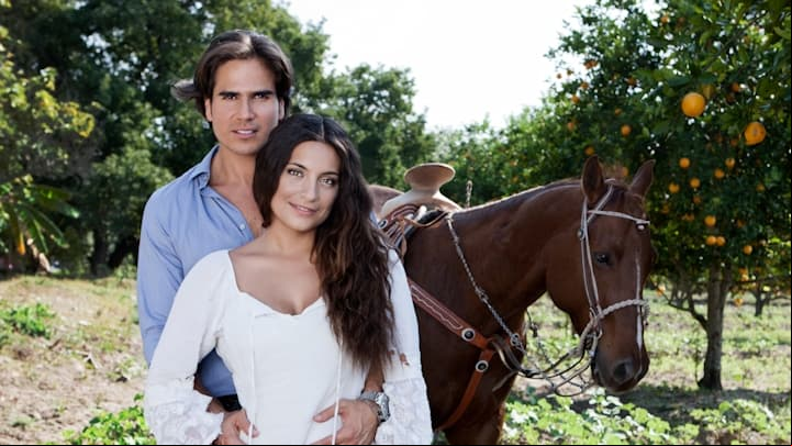 En 2013, encarnó a ‘Maricruz’ en ‘Corazón Indomable’ y su coprotagonista en esa historia fue Daniel Arenas. Gracias a su actuación fue nominada como Mejor protagonista en Premios TVyNovelas.