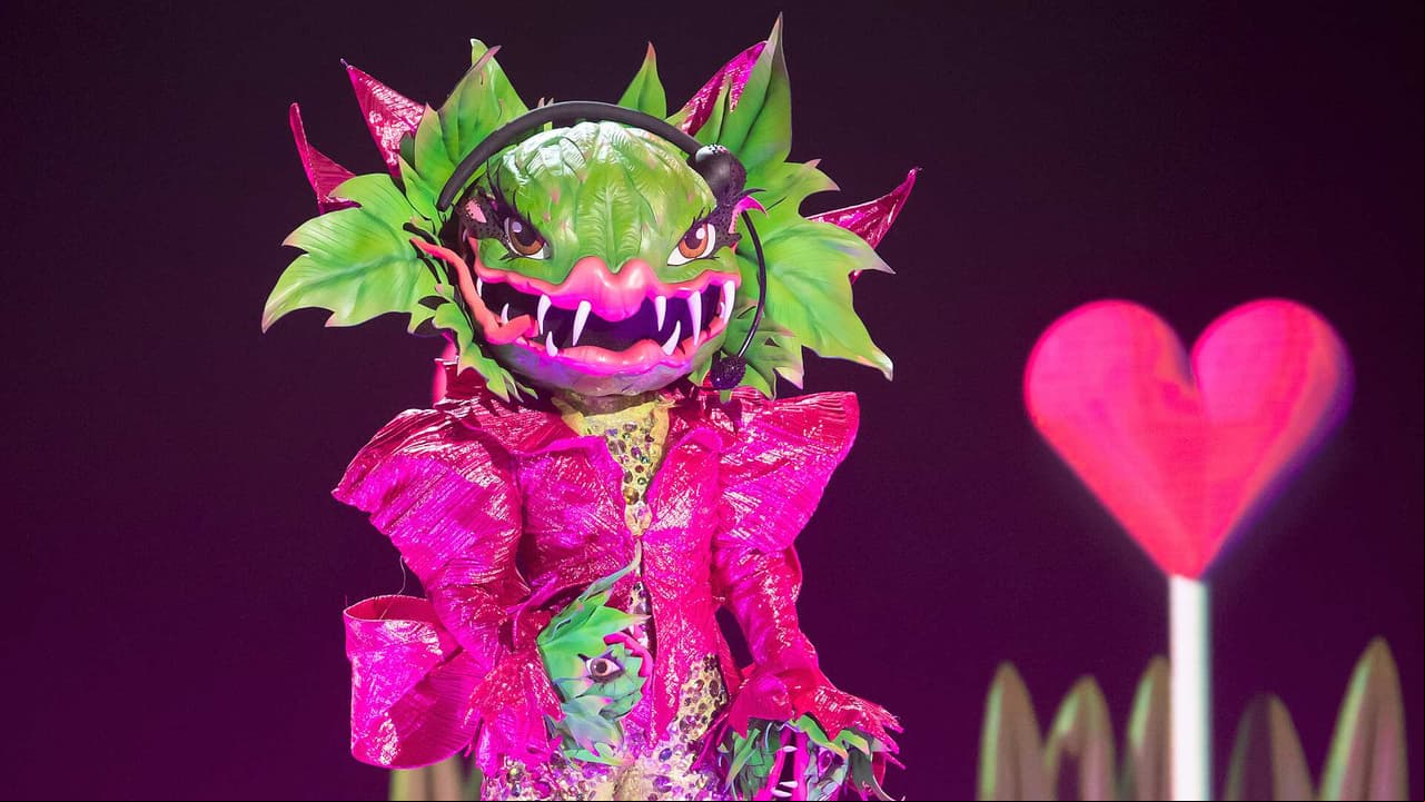 Carnívora protagoniza tremenda polémica con Hormiga y Sapo: “No sean mitoteros”