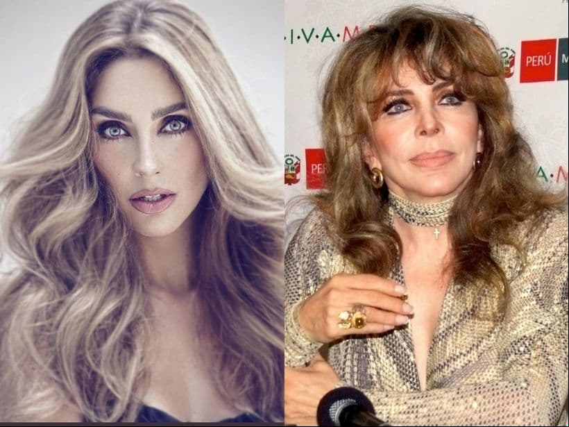 Recientemente, Anahí se sometió a un cambio de look, pintando su melena con tonalidades más rubias, hecho que provocó que medios de comunicación la compararan con Verónica Castro.