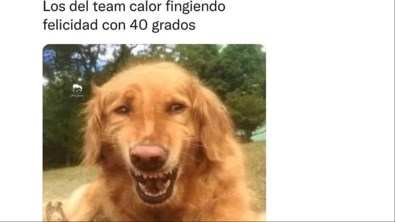 Defiende tu postura hasta el final.