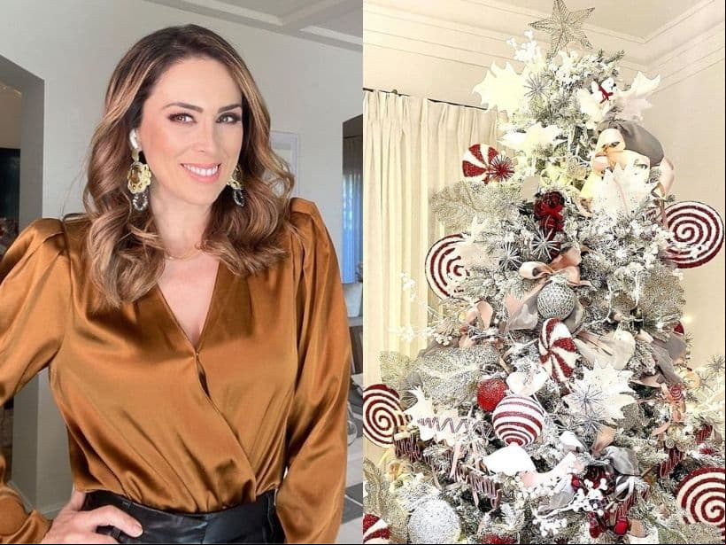 Una de las primeras famosas en presumir la decoración navideña de su hogar y su arbolito fue Jacky Bracamontes, dejando al descubierto que para este año había elegido tonalidades rojas, blancas y azules en sus adornos.