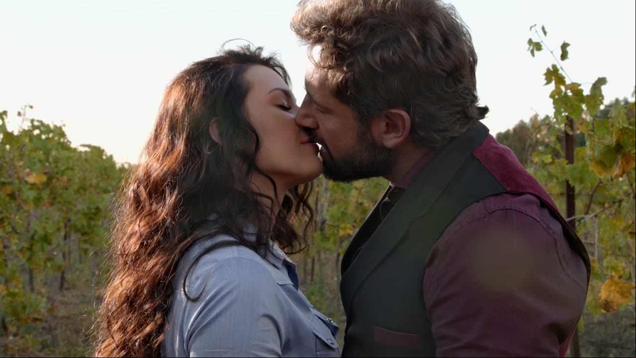 Descubre qué sucedió en el gran final de Vino el amor