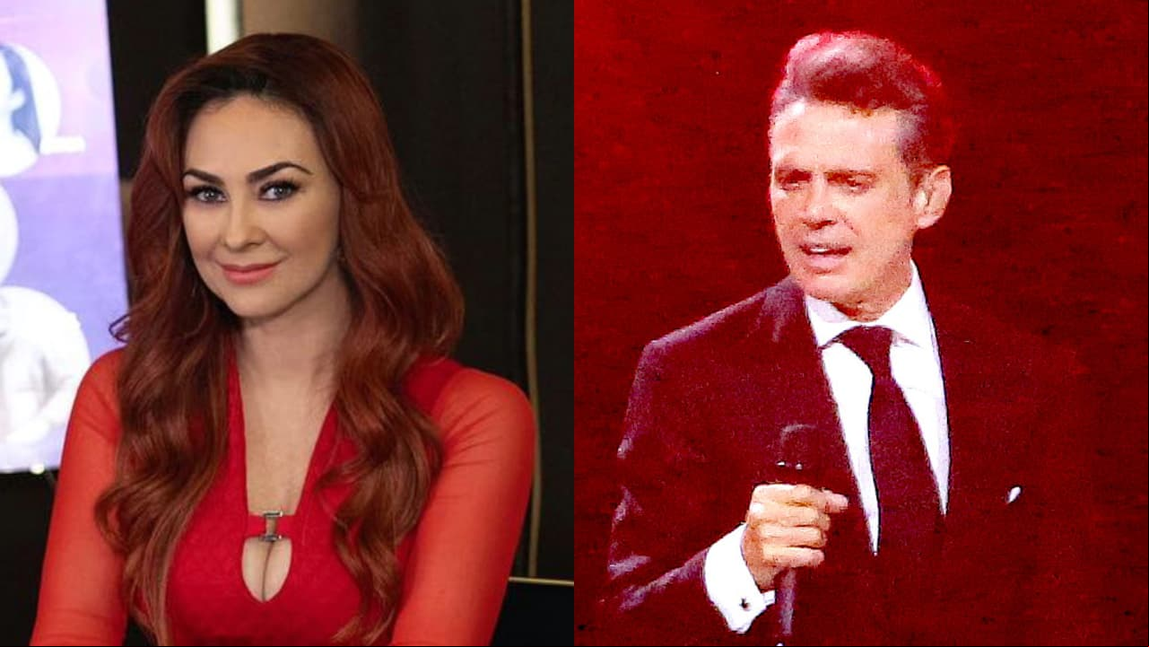 Aracely Arámbula se estaría "negando" a recibir cuantioso pago de 'Luismi'