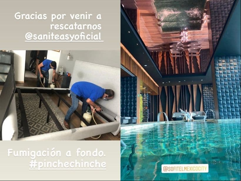 Erik Rubín fumiga su casa tras encontrar chinches en su cama.