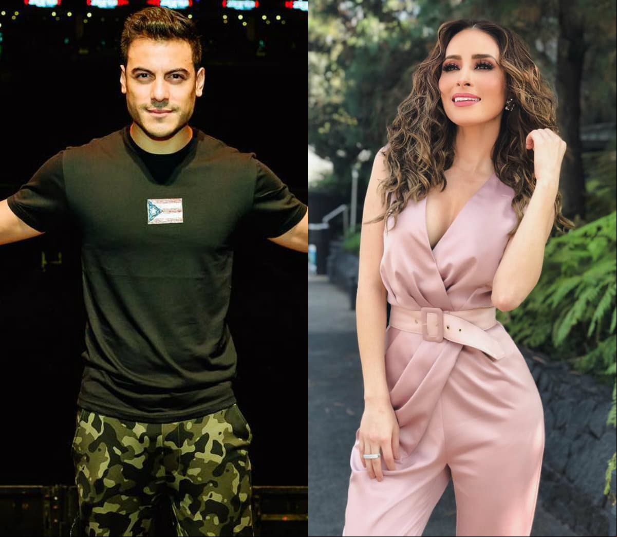 Los artistas se conocieron en un reality show de canto en 2005, donde forjaron una gran amistad.